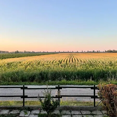 Vineyard View In Apartment *