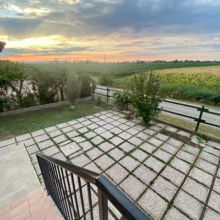 Apartment Vineyard View In *