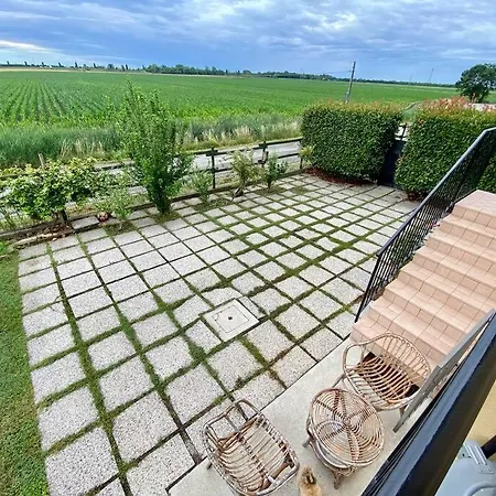 Vineyard View In * Aquileia