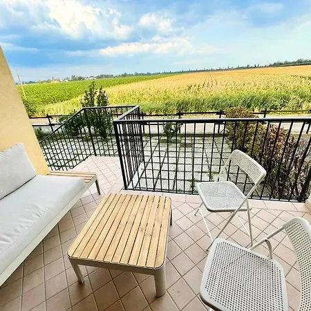 Vineyard View In Aquileia